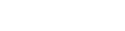 light logo